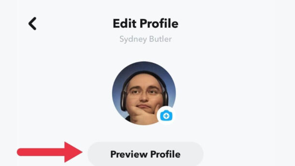 What Is a Public Profile on Snapchat and How To Make One?