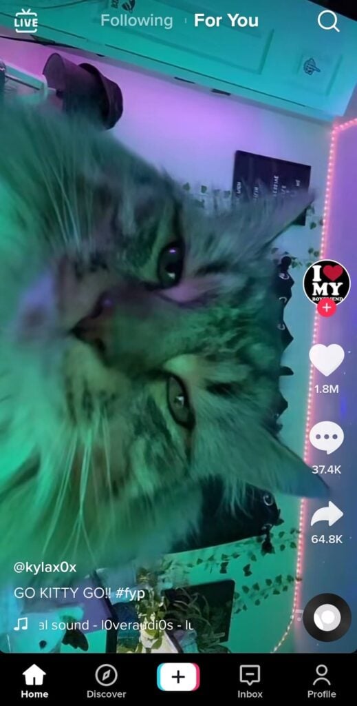 What - 01_for-you-page's the "For You" Page on TikTok? image