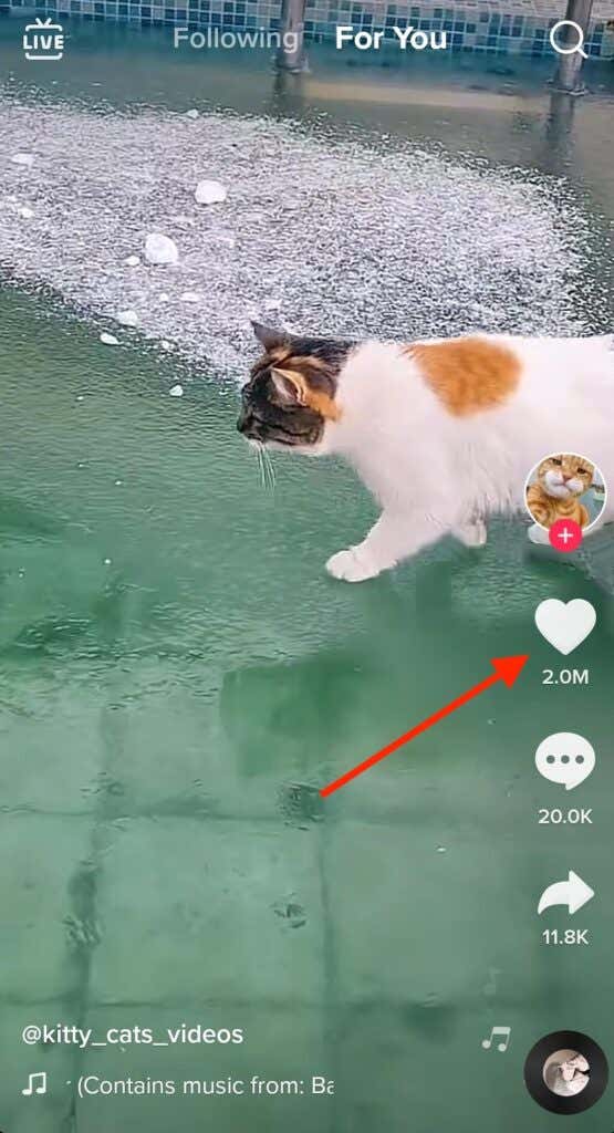 How to Get Featured on TikTok&#8217;s &#8220;For You&#8221; Page image 3