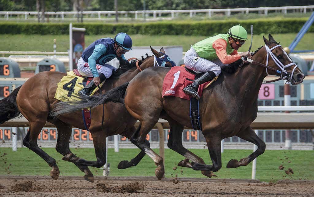 How to Watch the 2022 Kentucky Derby Online Without Cable - 73