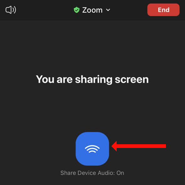 How To Share Audio on Zoom for iPhone and iPad image