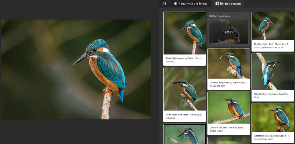 Bing Visual Search  10 Cool Things You Can Do With It - 9
