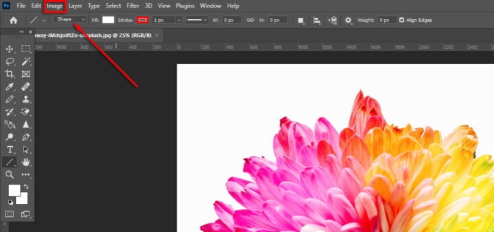 Demostración del proceso de conversión de una imagen a blanco y negro utilizando las herramientas de Photoshop.