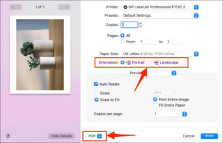 How to Save a Picture as a PDF