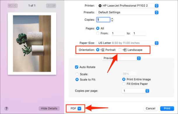 How to Save a Picture as a PDF