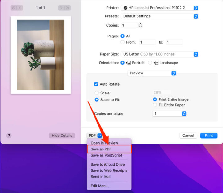 How to Save a Picture as a PDF
