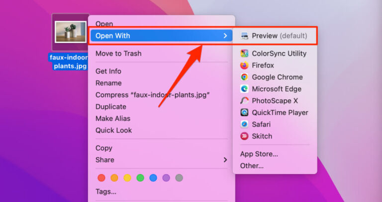 How To Convert Or Save A Picture As A PDF File