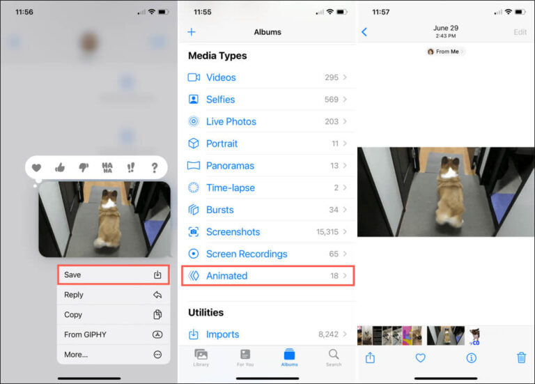 How to Save Animated GIFs to Mobile and Computer