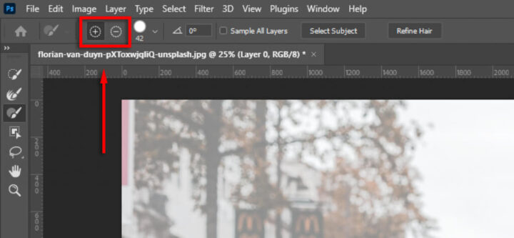 How to Change the Background in an Image Using Photoshop