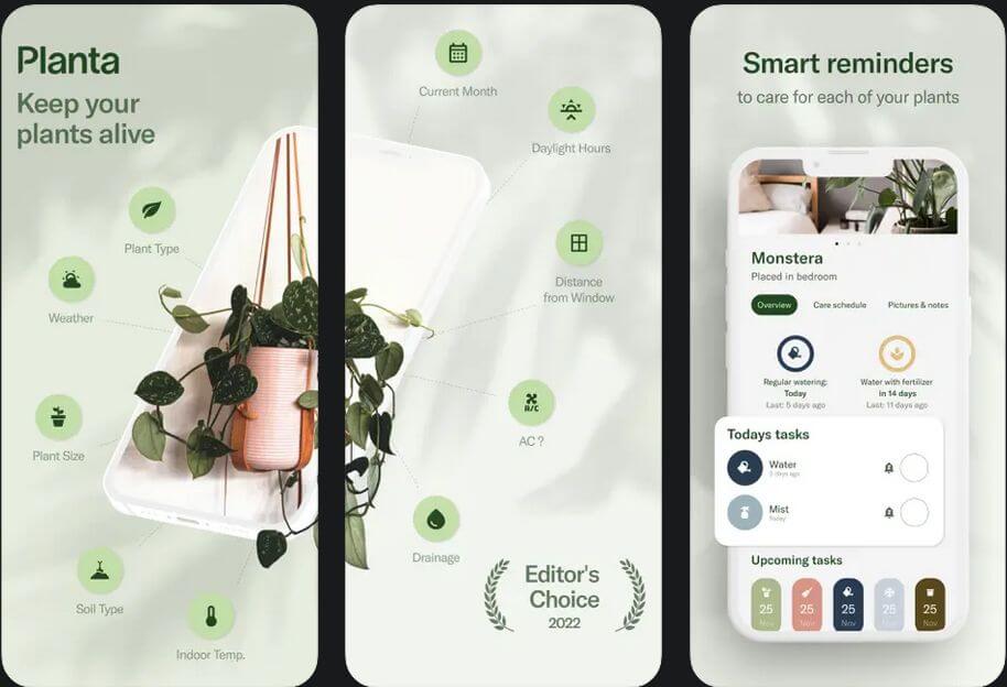 De 7 Beste Apps Om Kamerplanten Te Identificeren AllInfo de-7-beste-apps-om-kamerplanten-te-identificeren-allinfo