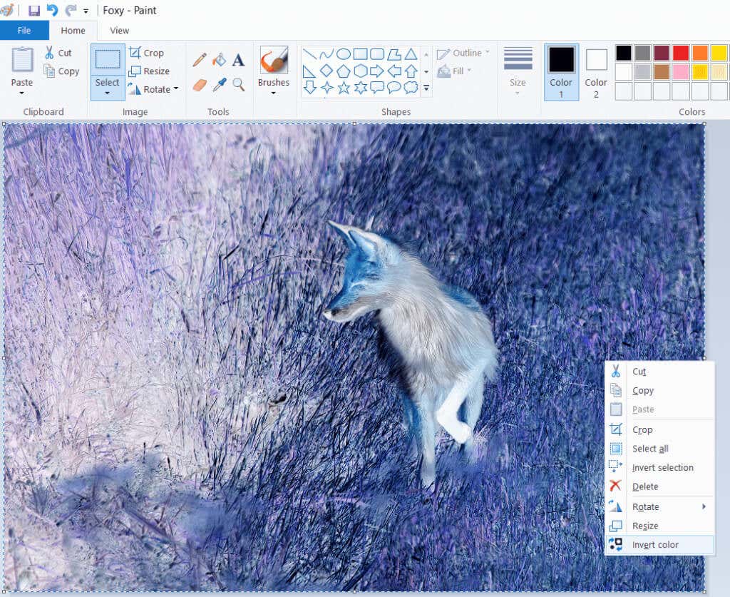 How to Invert Colors on Windows 10 [And Create a Shortcut]