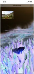 How to Invert the Colors on a Picture (and Why You Might Want To)