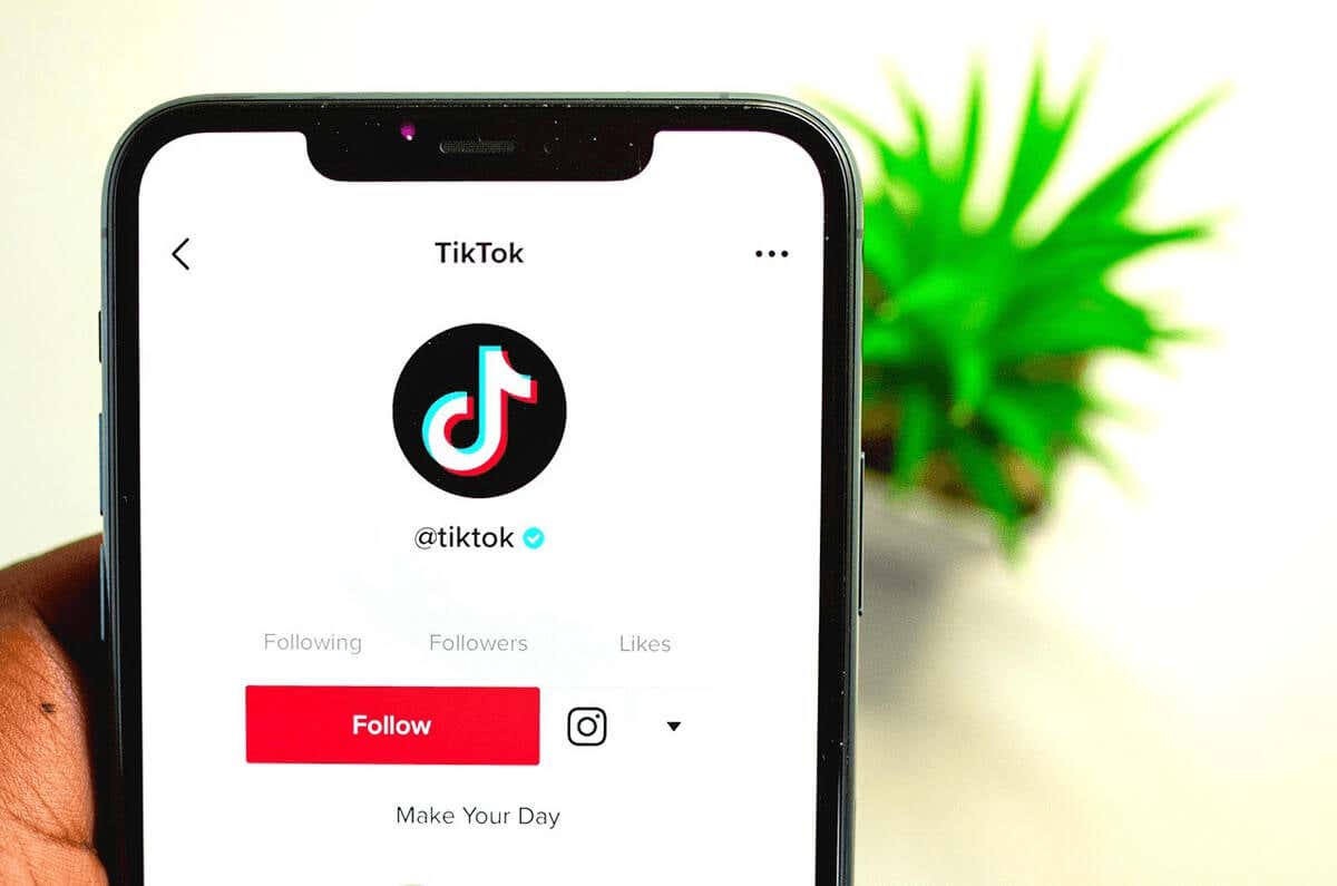 All You Need to Know About PFP on TikTok image