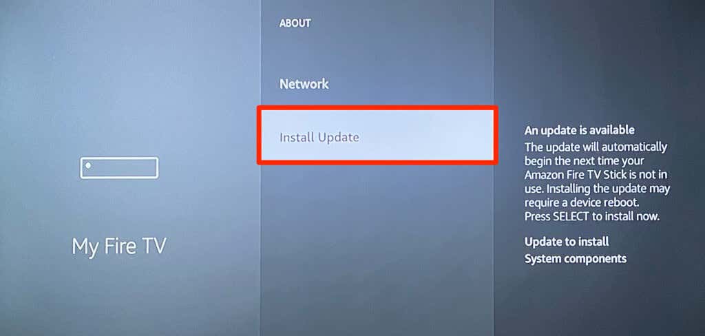 selecting Install Update in Fire TV stick settings