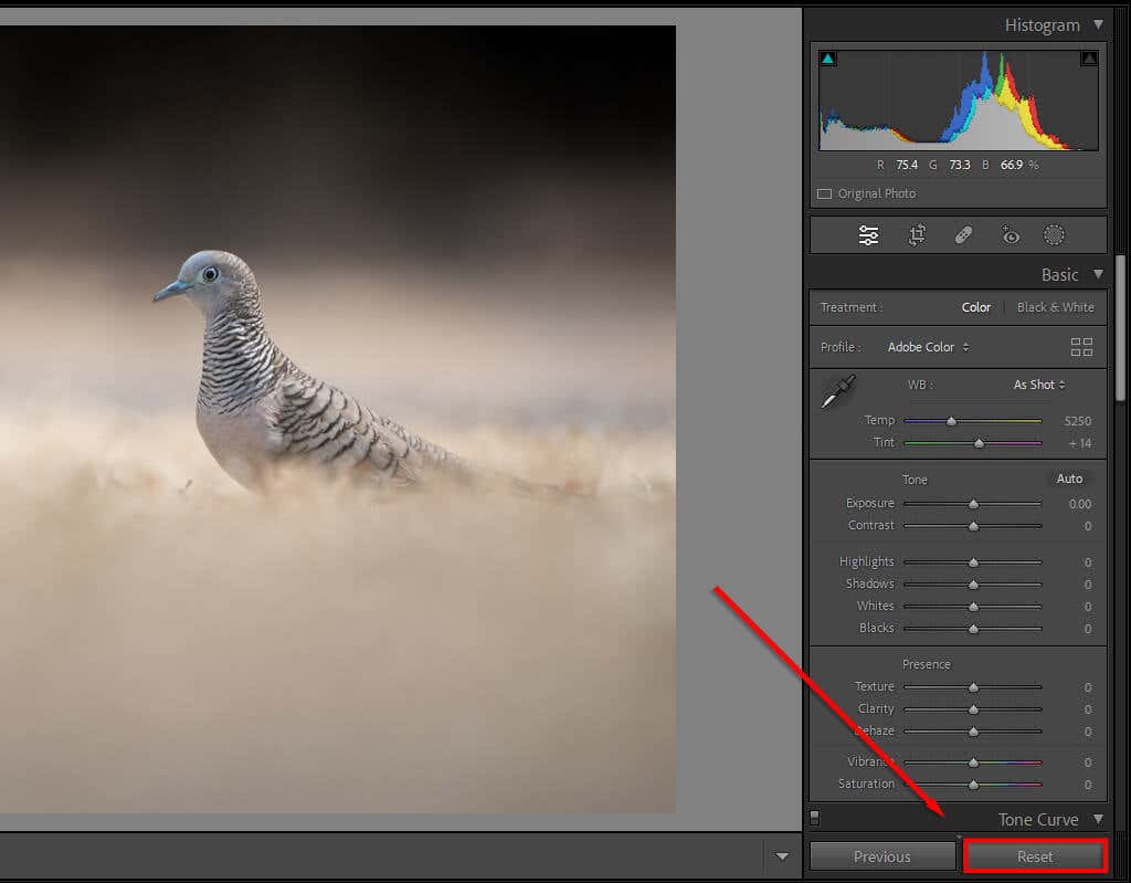 10 Lightroom Editing Tips to Improve Your Skills
