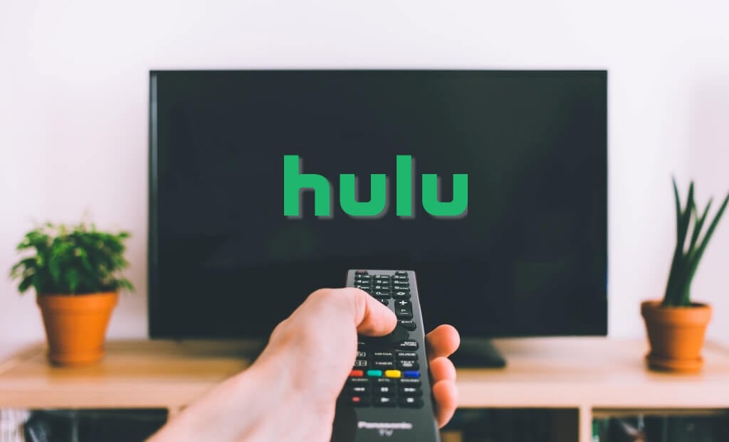 Top 11 Ways to Fix Hulu Error Code 2  998  - 16