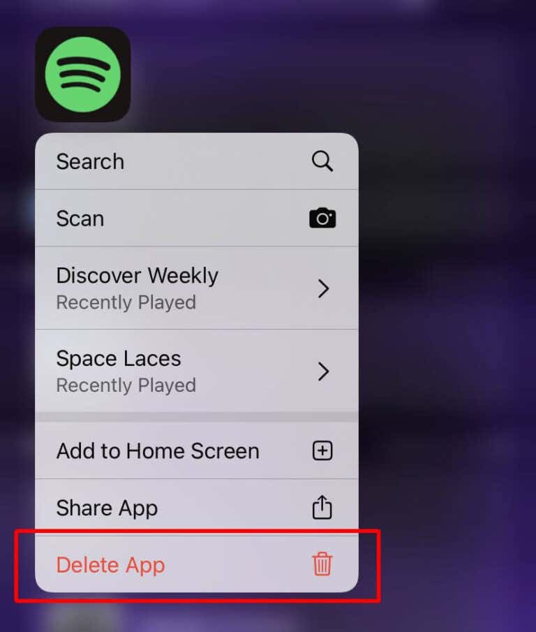 How To Fix Spotify Lyrics Not Showing