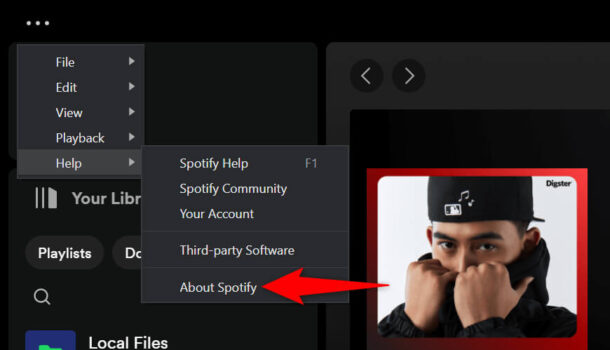 Spotify Error Code Access Point 22: 7 Ways to Fix It