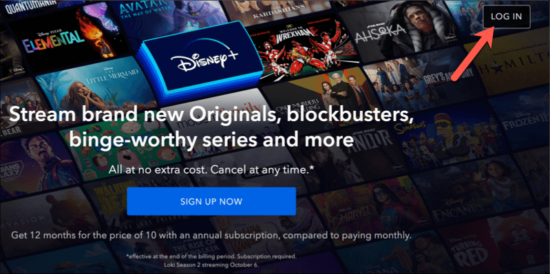 Check Your Details are Correct on the Disney Plus Website image