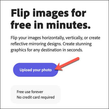 Using the Free Image Flipping Tool in Adobe Express Online image