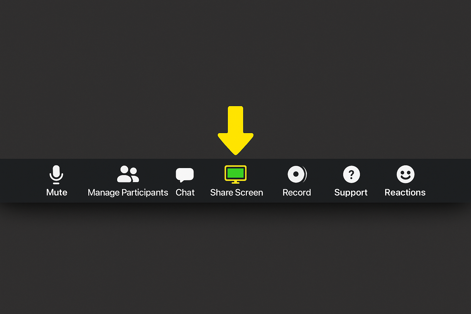 Zoom meeting interface showing screen sharing options and participant controls