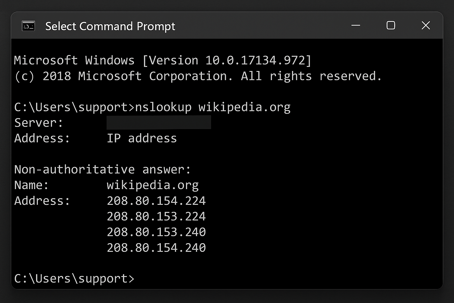 Terminal window displaying DNS lookup commands and server response data