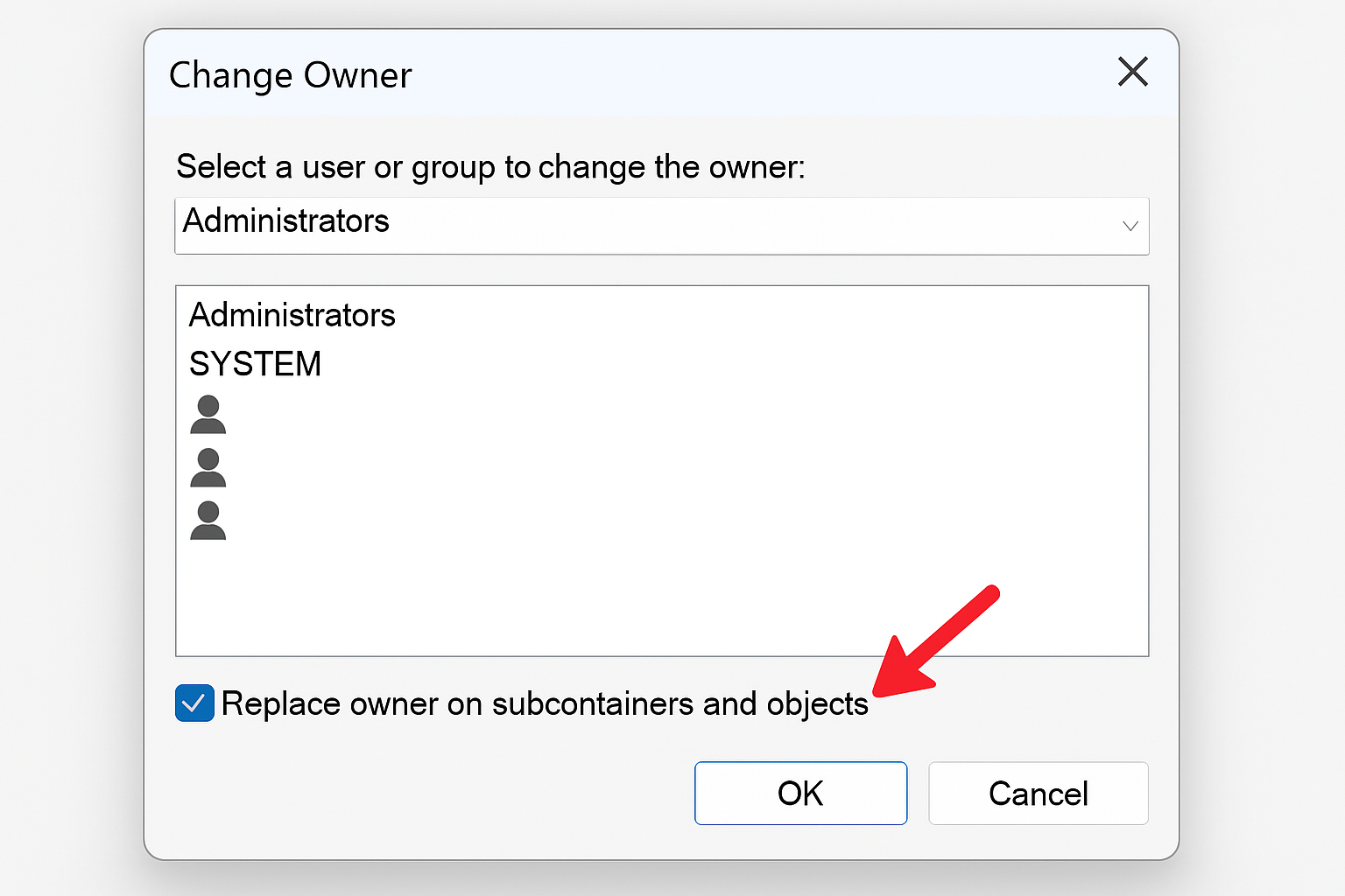 Ownership change dialog with Replace owner checkbox highlighted