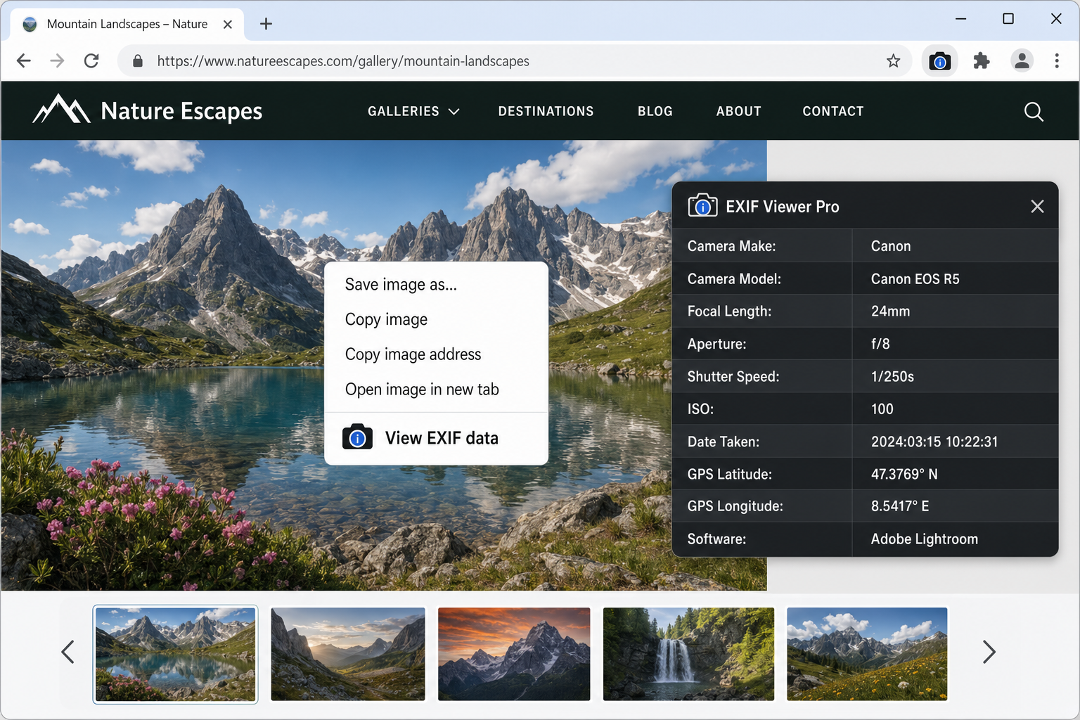 EXIF Viewer Pro browser extension panel showing the right-click context menu option "View EXIF data" on an image, with the metadata results panel open alongside