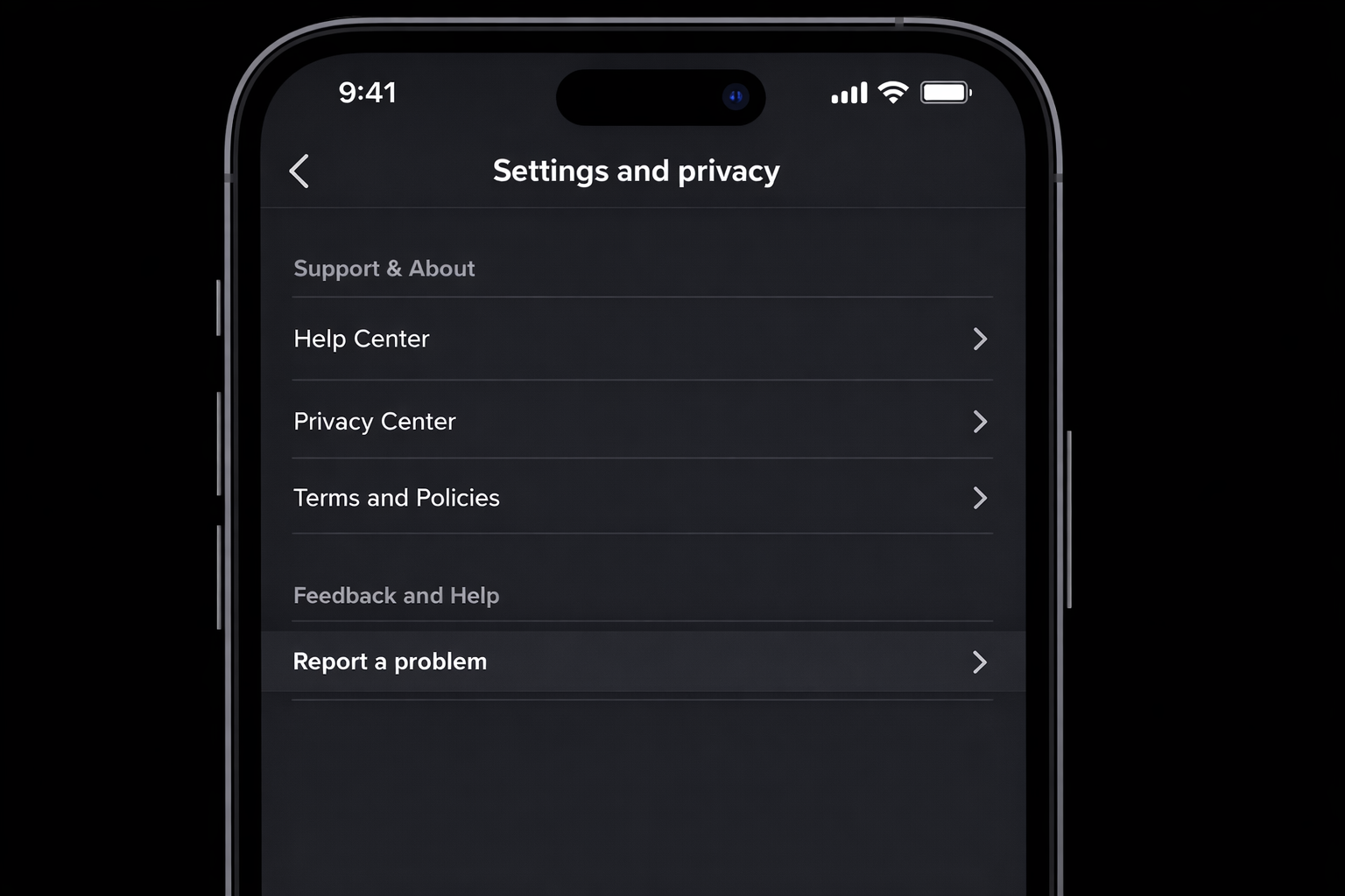 TikTok Settings and Privacy screen showing Report a Problem option at the bottom
