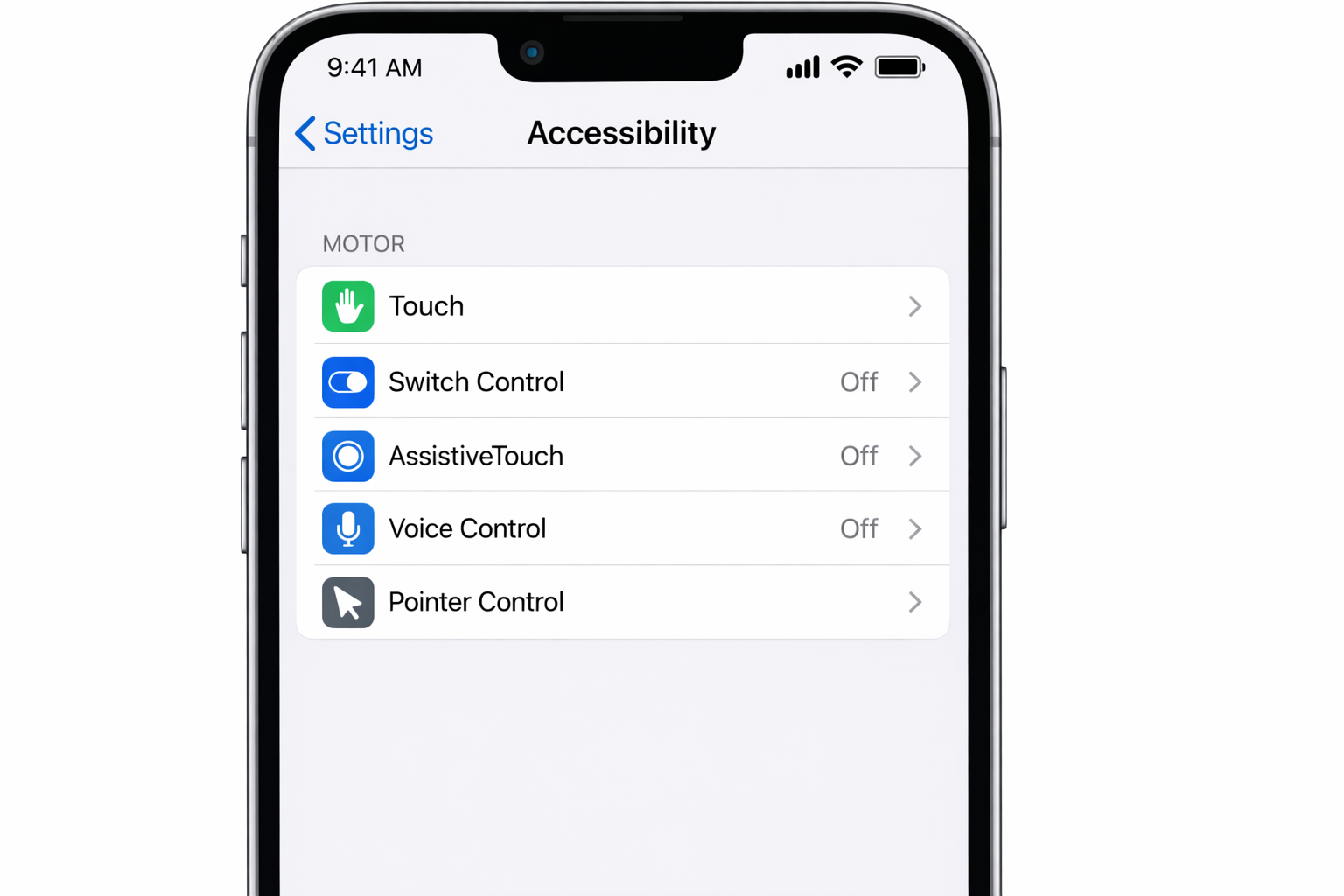 iPhone iOS 18 Settings Accessibility main screen showing Switch Control, AssistiveTouch, Voice Control, and Pointer Control options