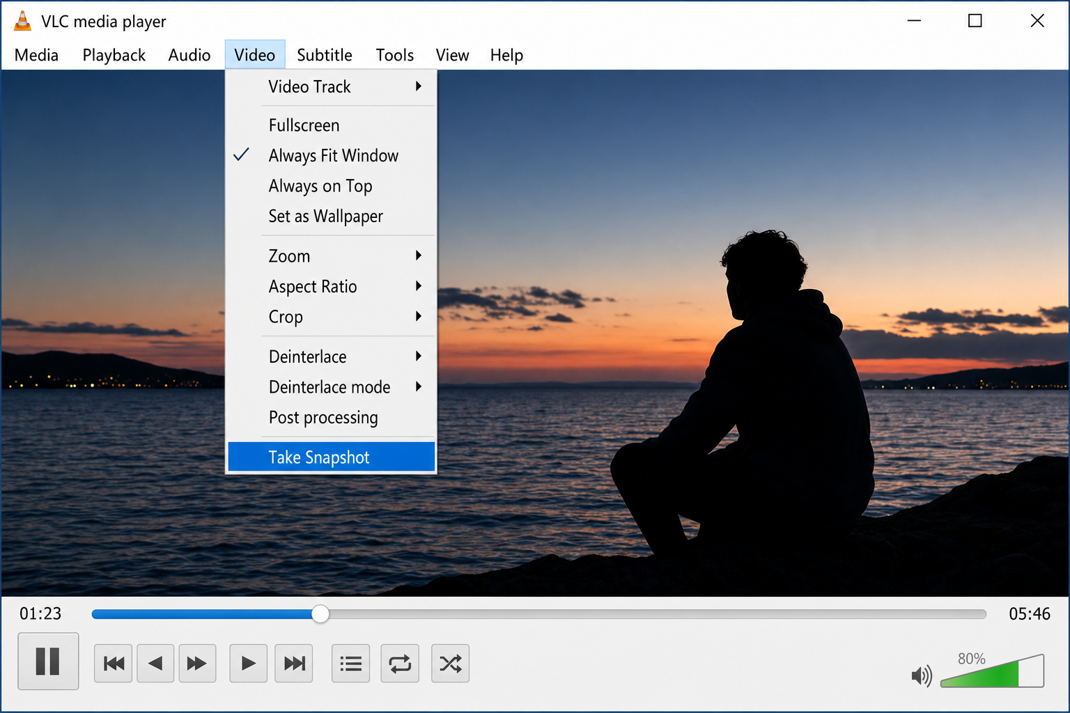 VLC media player with Video menu open and Take Snapshot option highlighted