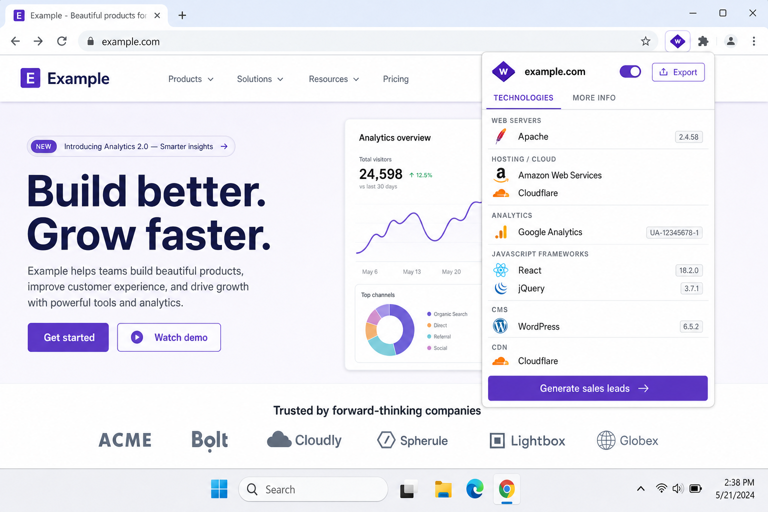 Wappalyzer browser extension popup showing hosting provider and technology stack for a sample website