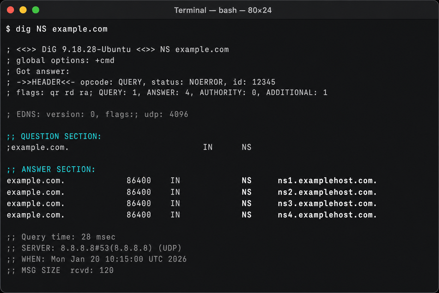 macOS Terminal showing dig NS command output with nameserver records for a sample domain