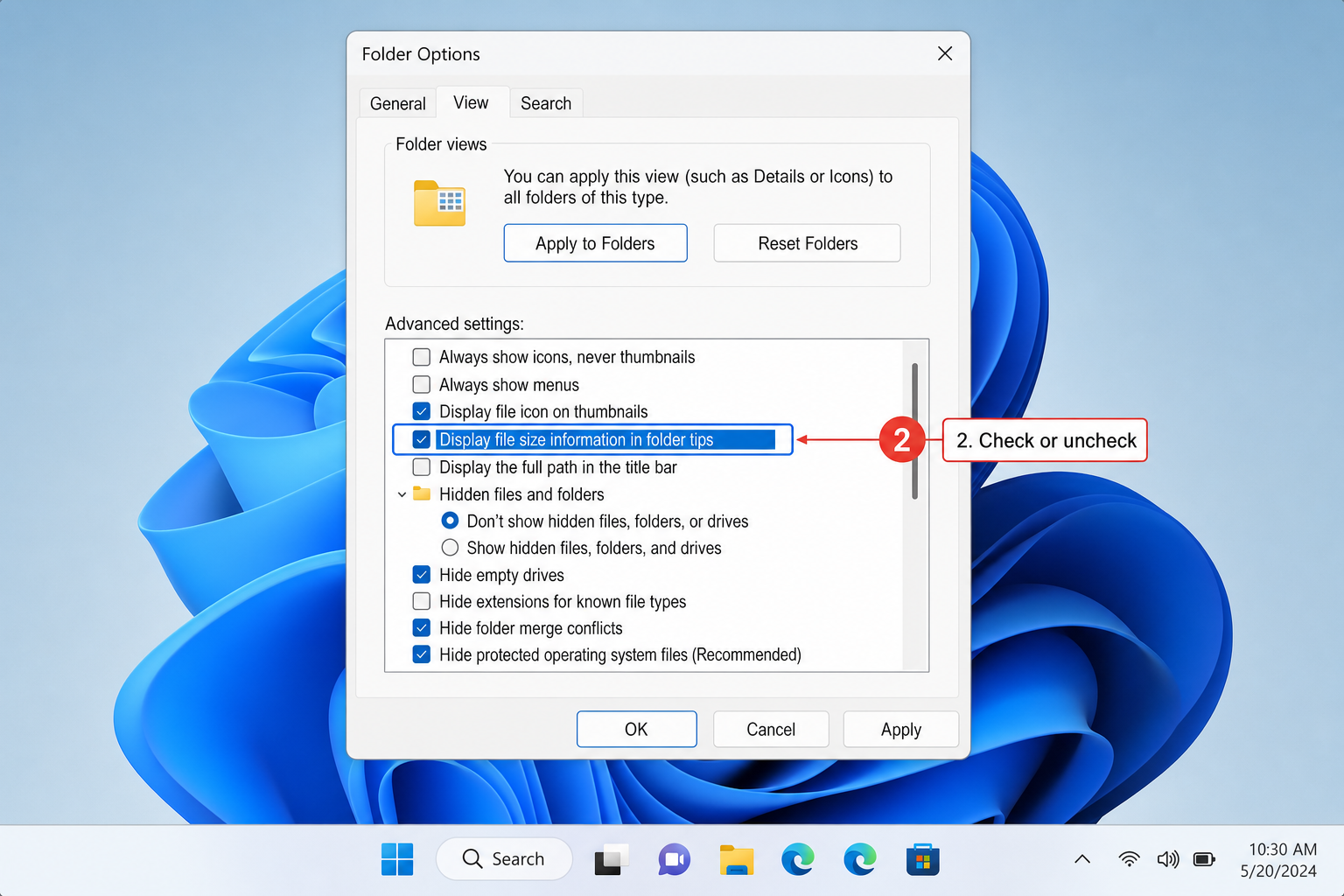Folder Options dialog with the View tab open and "Display file size information in folder tips" checkbox highlighted