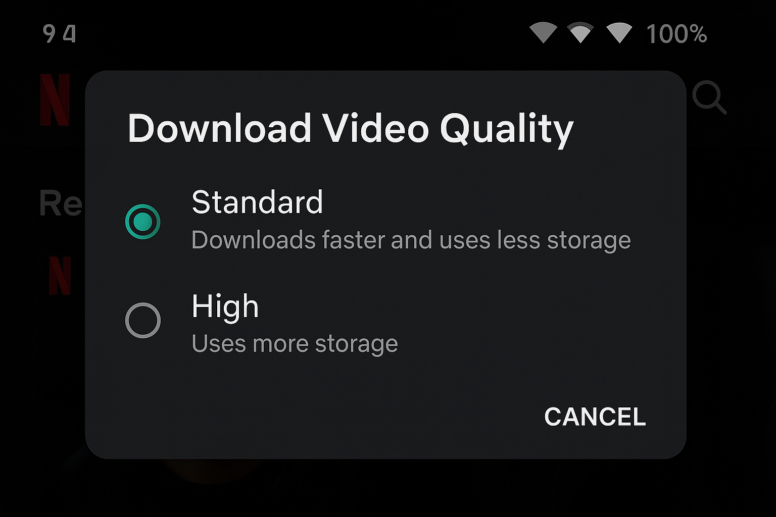 Netflix app download settings showing quality options and download management