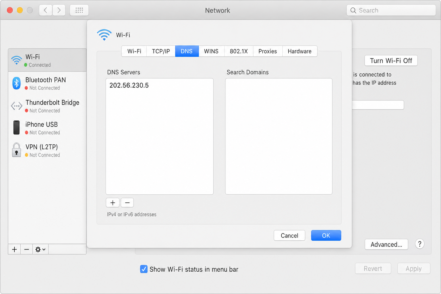 macOS Network settings DNS tab with DNS servers field and plus button for adding new servers