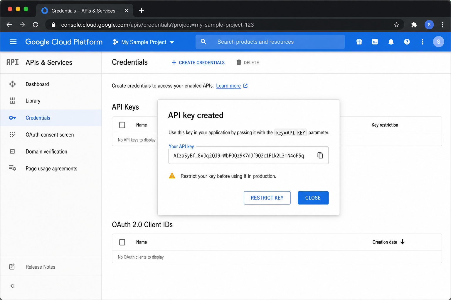 Google Cloud Console showing the Maps JavaScript API enabled and an API key created under Credentials