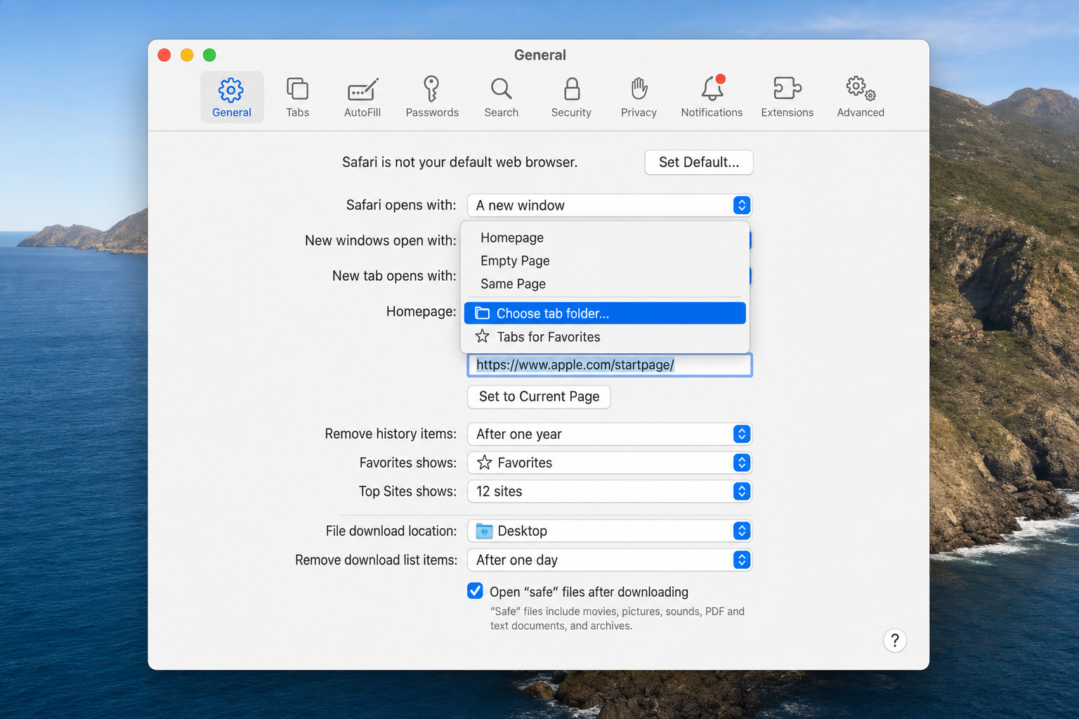 Safari Settings > General tab with "New windows open with" dropdown showing "Choose tabs folder" option selected