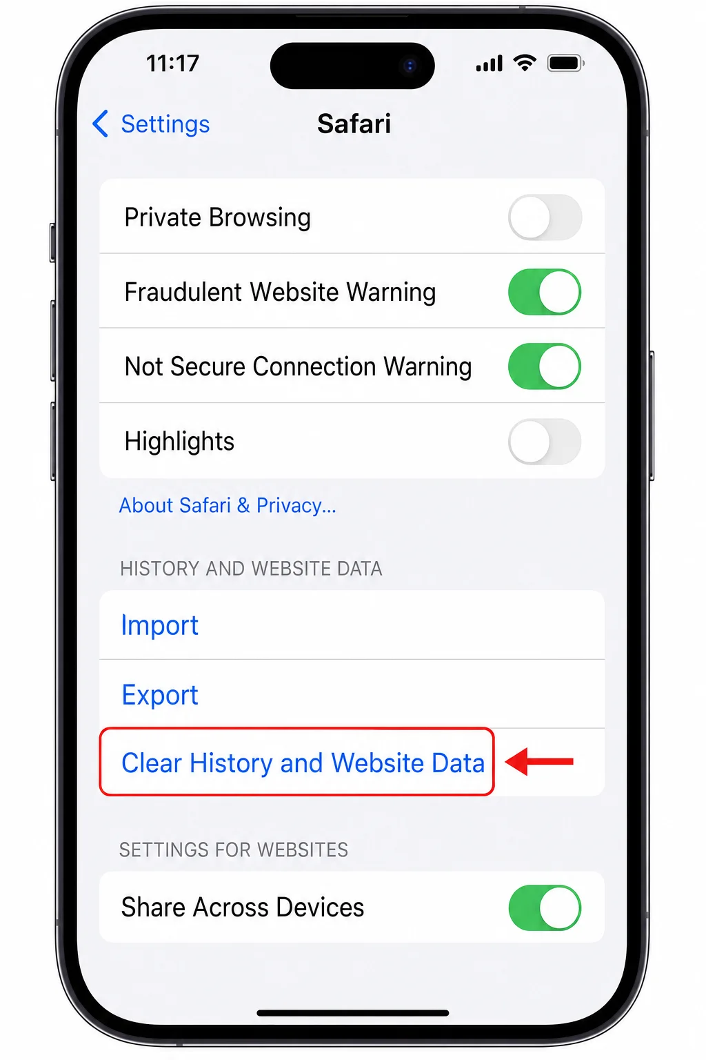iPhone Settings app showing Safari settings page with Clear History and Website Data option highlighted