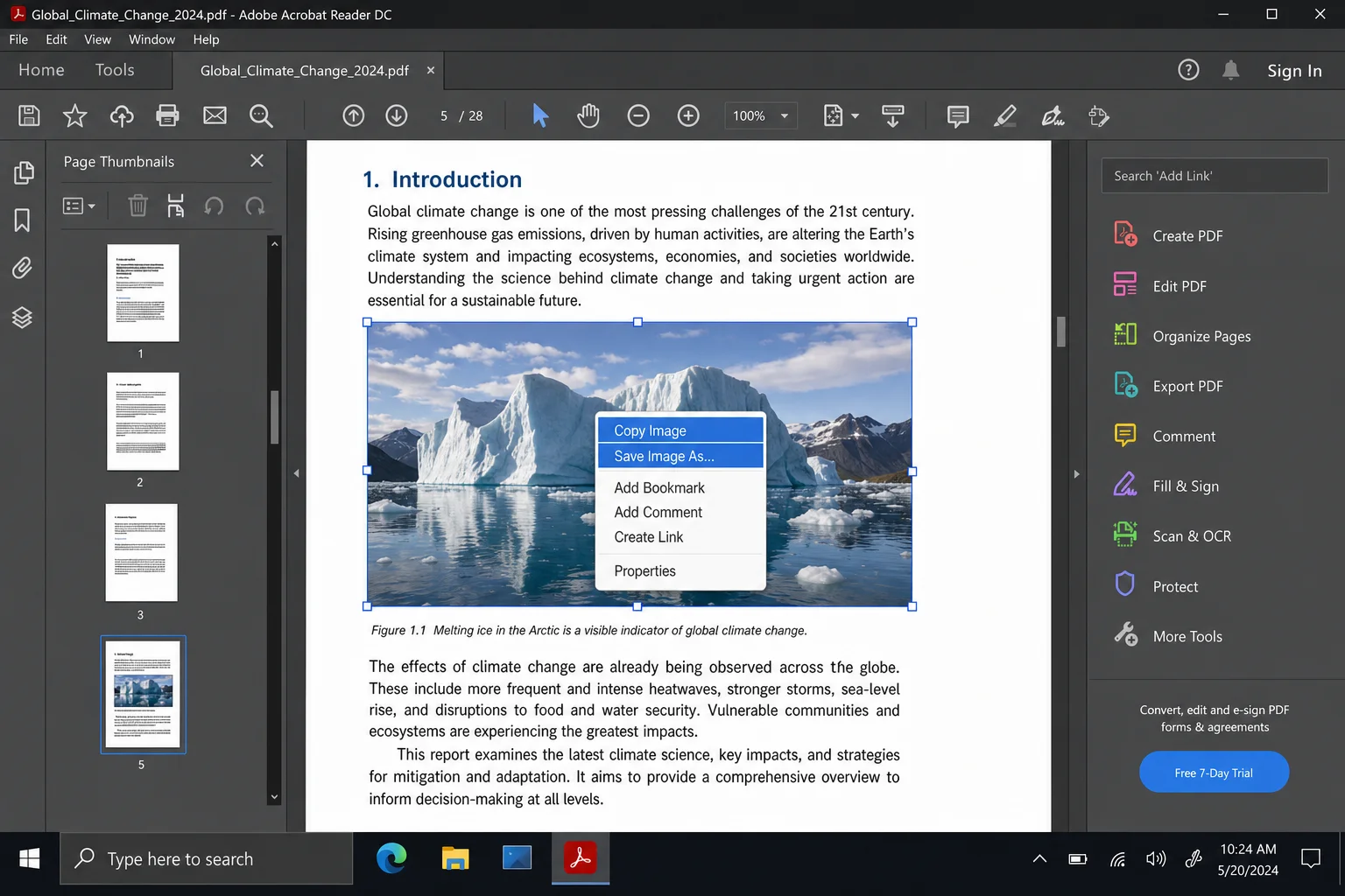 Adobe Acrobat Reader showing a right-click context menu on an image in a PDF with "Copy Image" and "Save Image As" options highlighted
