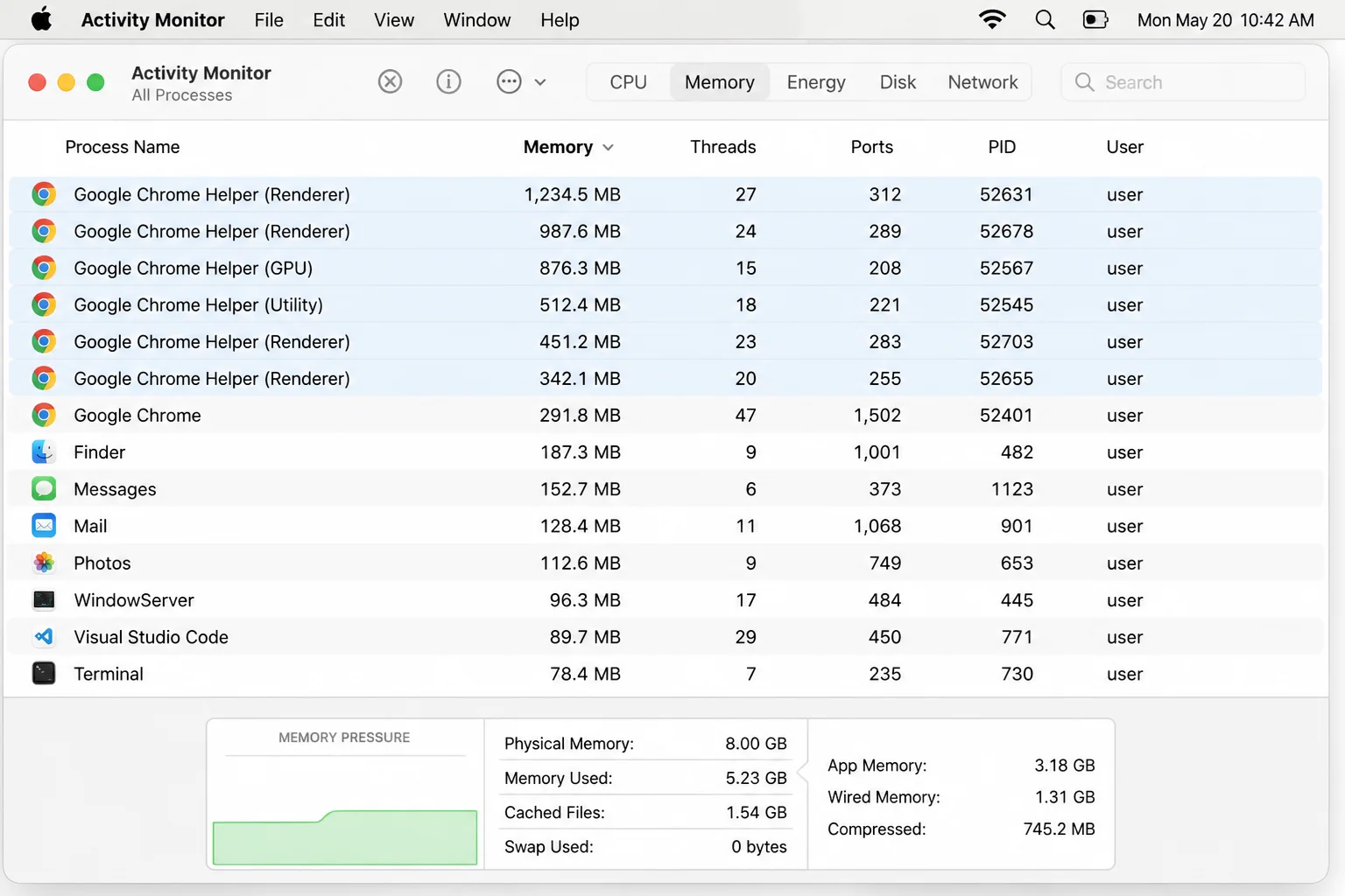 macOS Activity Monitor with Memory tab selected, showing Google Chrome processes sorted by memory usage