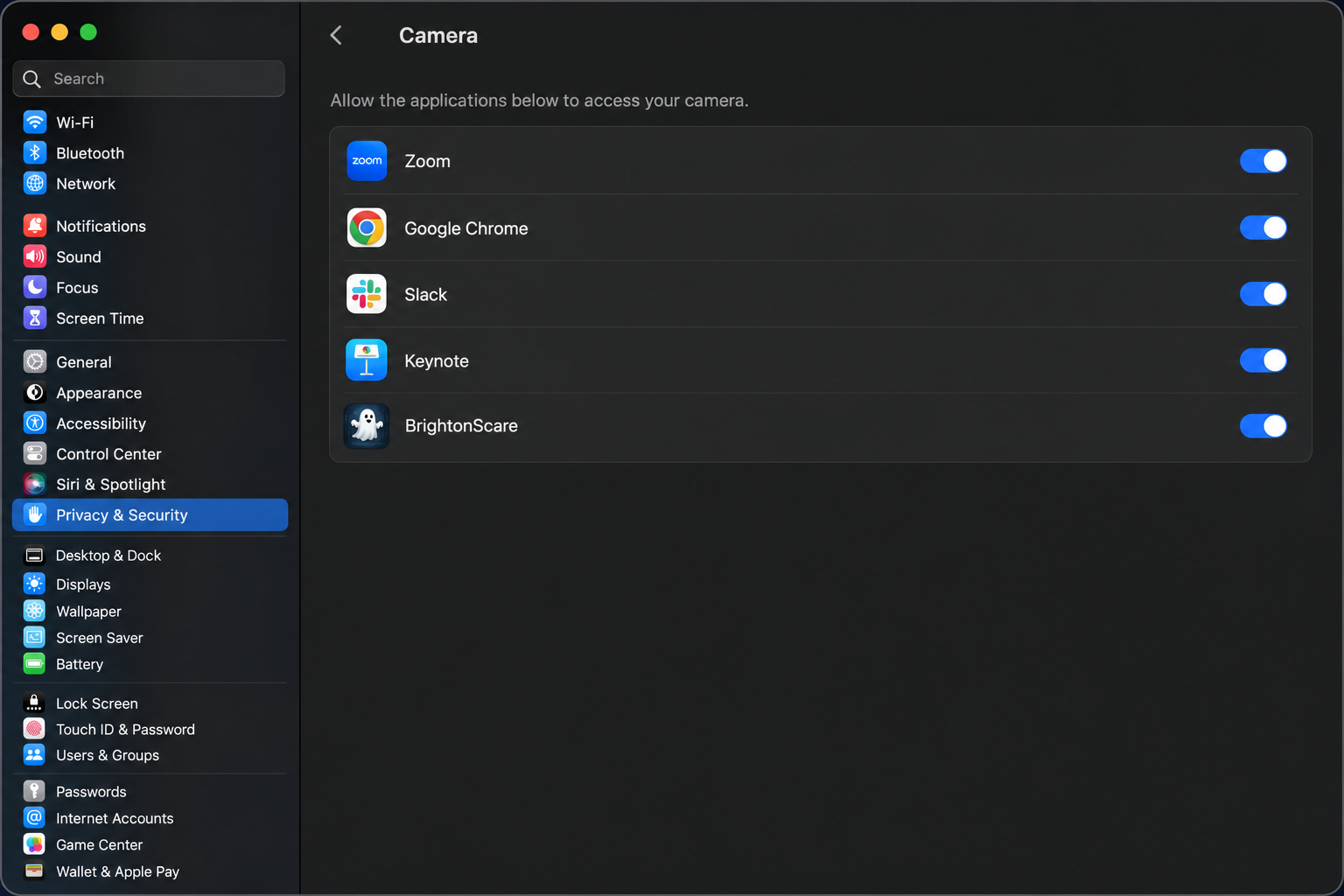 macOS System Settings Privacy & Security showing Camera permissions with browser toggle enabled