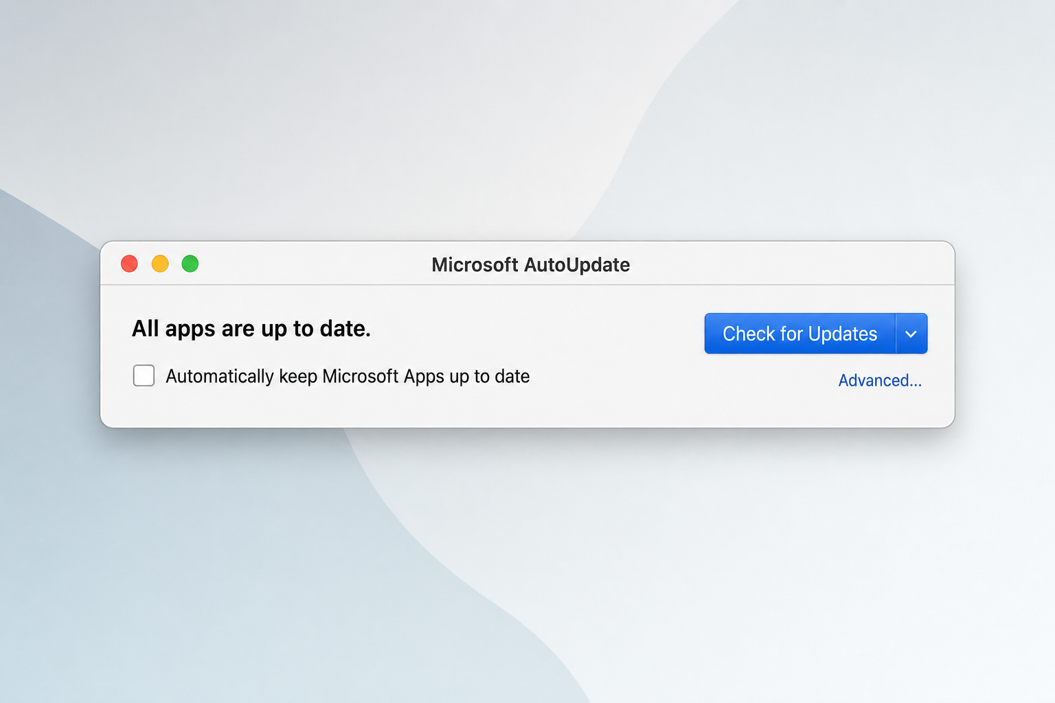 Microsoft AutoUpdate window on macOS showing Check for Updates button and Automatically keep Microsoft Apps up to date checkbox