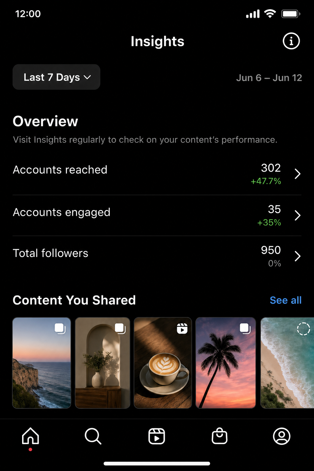 Instagram Professional dashboard showing Account Insights with reach, follower growth, and content performance metrics