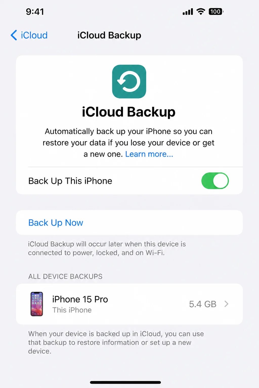 iCloud Backup page with Back Up This iPhone enabled and Back Up Now visible