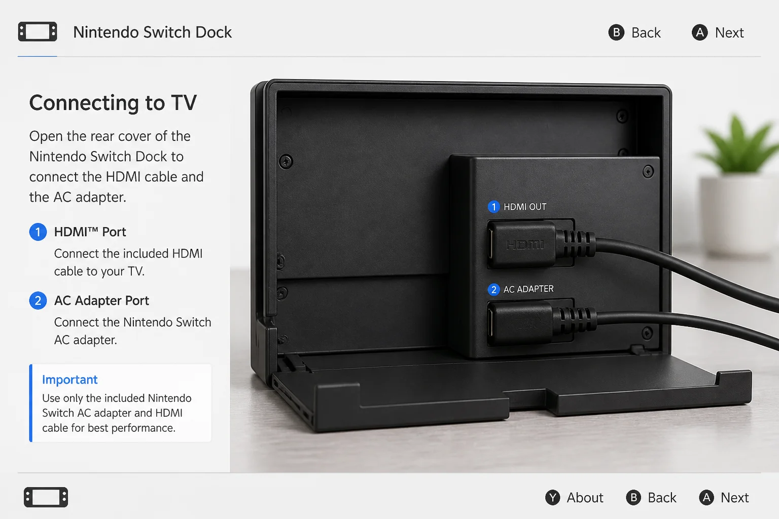 Clear labeled photograph of the dock rear compartment showing the AC adapter and HDMI connections firmly seated, with no serial numbers visible