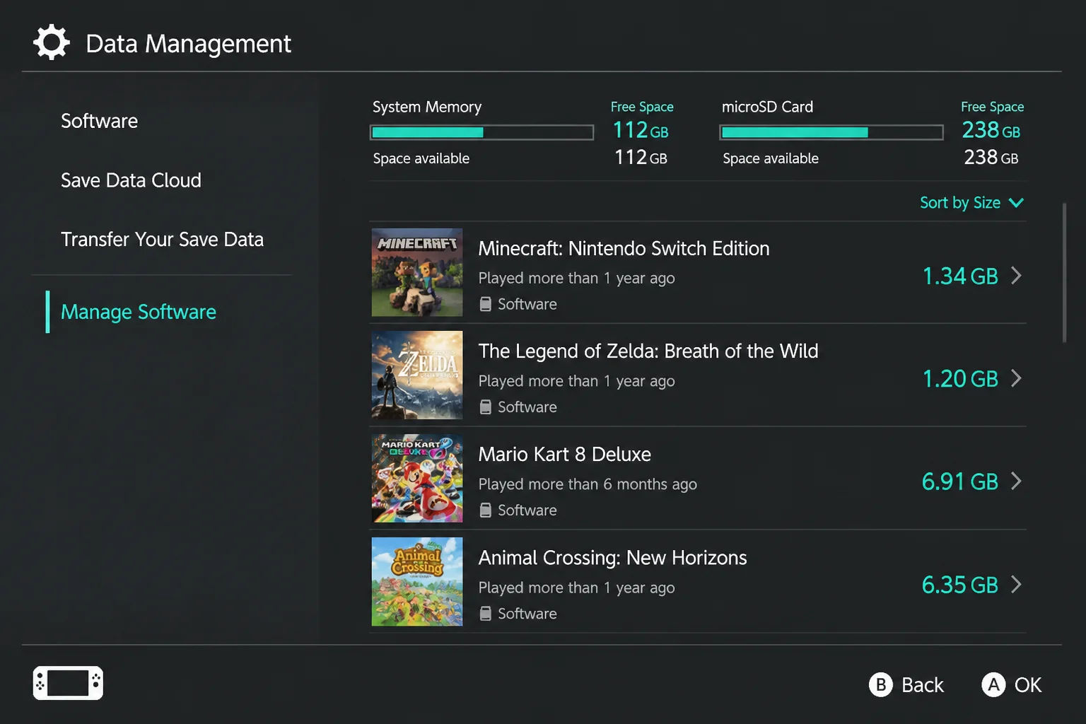 Software management screen showing a selected game's storage information without highlighting saved-data deletion controls