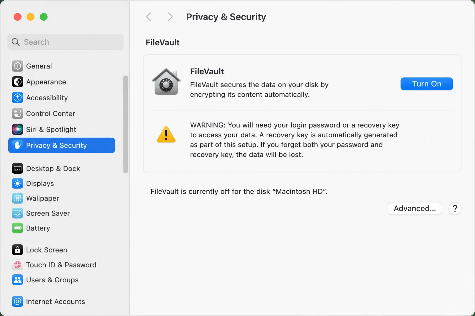macOS Sequoia System Settings open to Privacy & Security, showing the FileVault section with a "Turn On" button visible