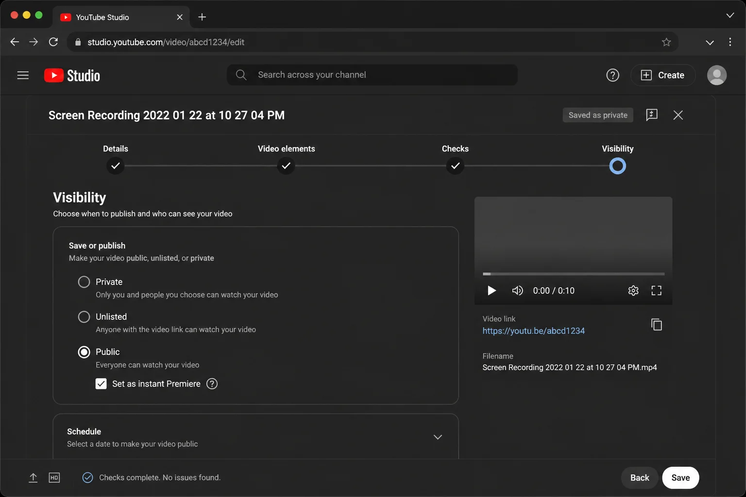 YouTube Studio Visibility screen with Public, Set as instant Premiere, and Publish highlighted