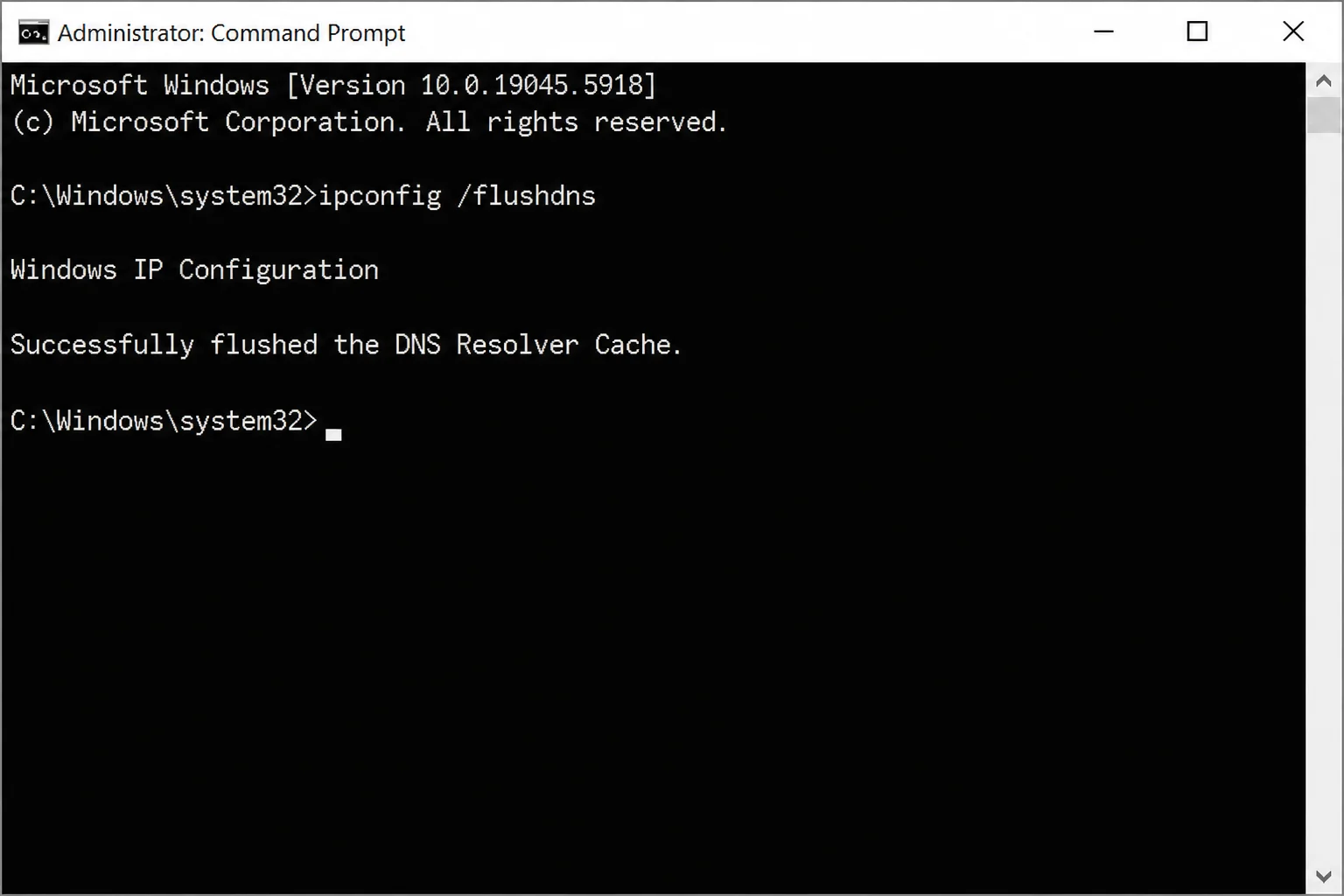 Windows Command Prompt showing the ipconfig /flushdns command and its "Successfully flushed the DNS Resolver Cache" confirmation message